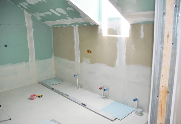 Best Mold Damage Restoration  in Holyoke, CO