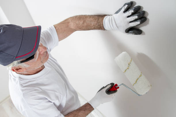 Best Industrial Mold Remediation  in Holyoke, CO