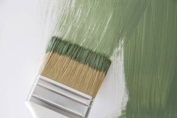 Best Forensic Mold Investigation  in Holyoke, CO