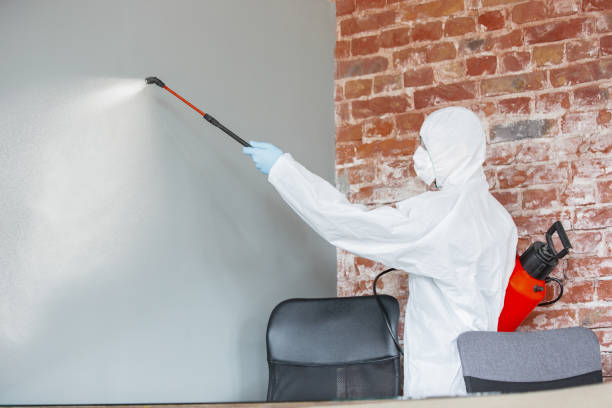 Professional Mold Removal in Holyoke, CO
