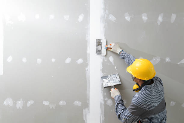Best Mold Damage Restoration  in Holyoke, CO
