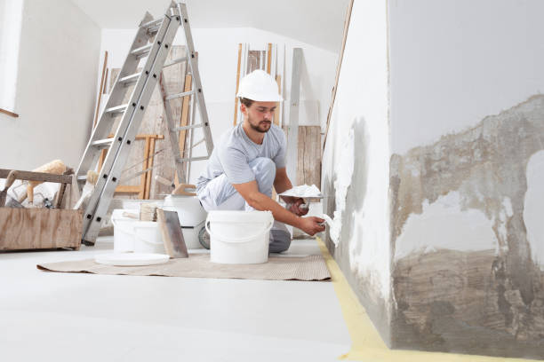 Best Basement Mold Removal  in Holyoke, CO