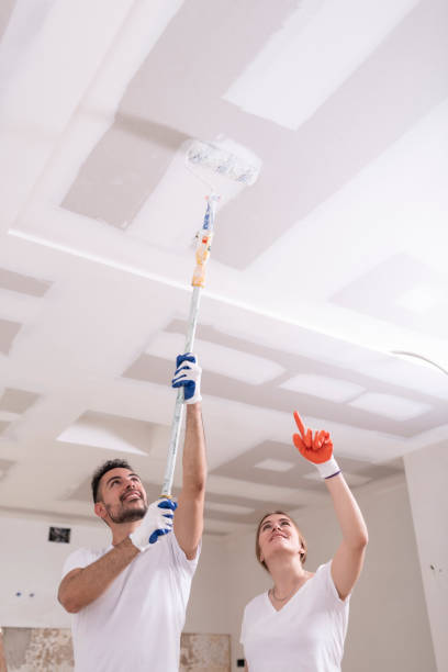 Best Residential Mold Inspection & Testing  in Holyoke, CO