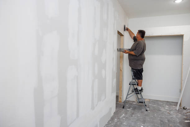 Best Post-Construction Mold Inspection  in Holyoke, CO
