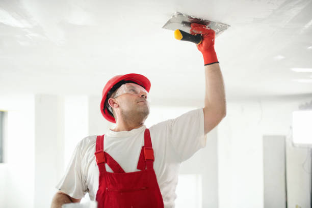 Best HVAC Mold Inspection and Cleaning  in Holyoke, CO