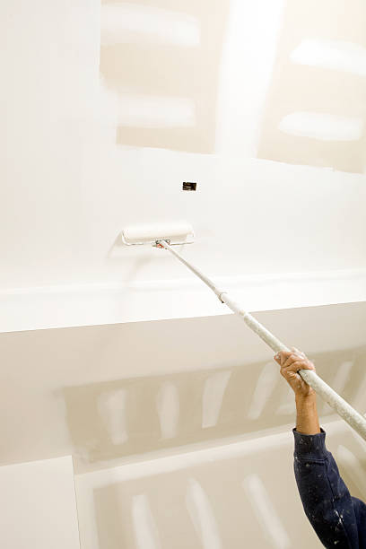 Mold Documentation for Insurance Claims in Holyoke, CO