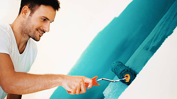 Trusted Holyoke, CO Mold Removal Experts