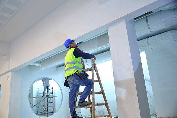 Best Real Estate Mold Inspection  in Holyoke, CO